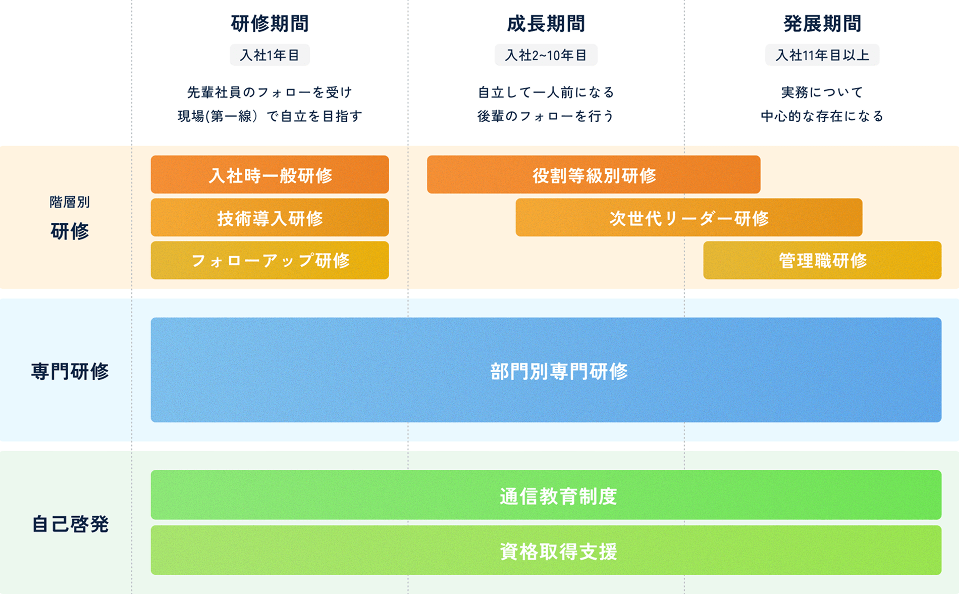 研修制度の図